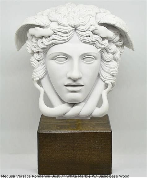 history medusa versace rondanini bust|vincent bardou the medusa.